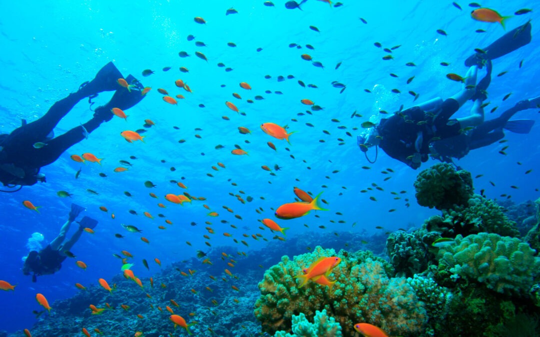 Diving